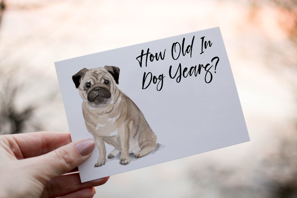 Pug Dog Birthday Card, Dog Birthday Card, Personalized Dog Card